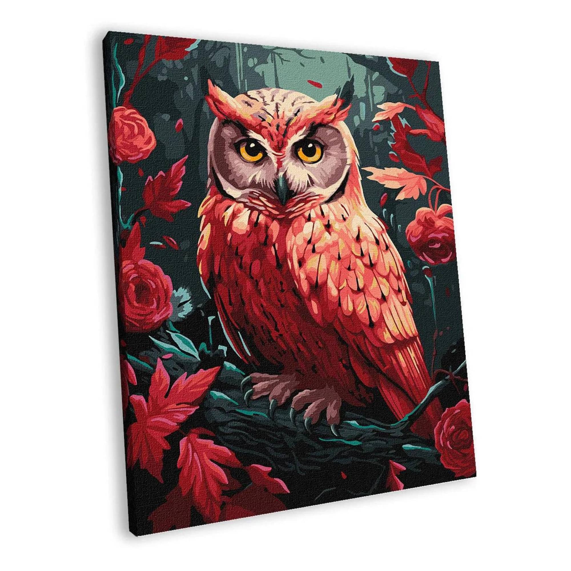 Ideyka Colorful Owl Painting by Numbers Kit